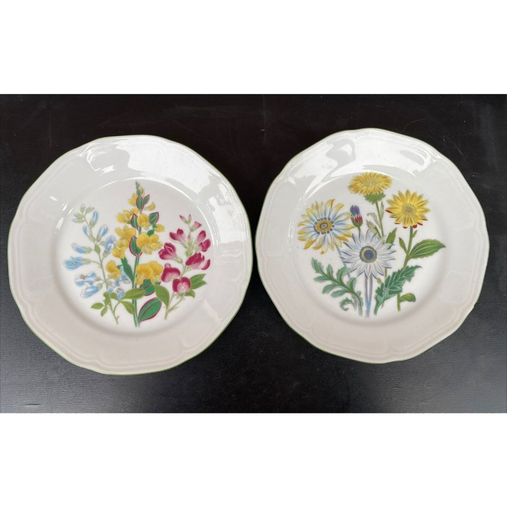 2 Bareuther Waldsassen Bavaria Germany 8” Dessert Plates 132 Floral Wildflowers